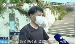 余姚吃瓜网红富二代被抓,揭秘背后惊人真相